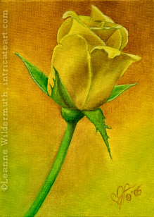 Yellow Rose