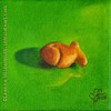 Eye Ate It #2 : Goldfish