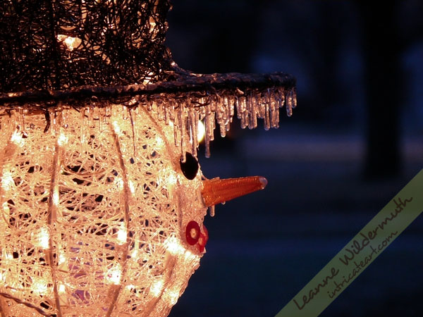 Art Print : Frosty