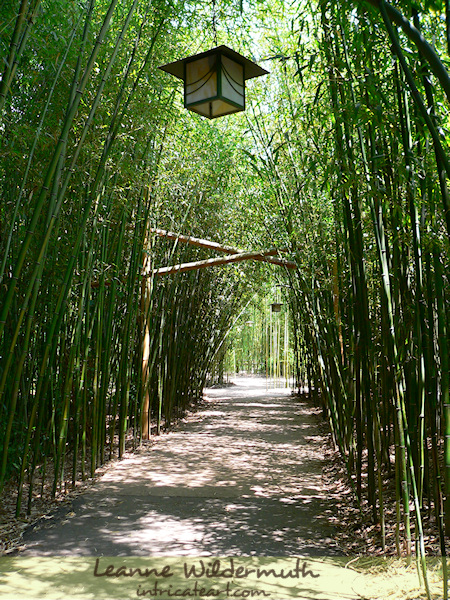 Art Print : The Path