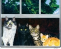 Hebert Family Cat Portrait cats black orange tabby gray longhair tiger pet painting