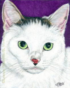 Custom Cat Portrait white gray green eyed cat india ink painting Snubbie