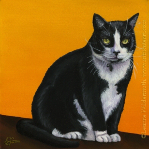 200432 Custom pet portrait tuxedo cat oil painting Rocky