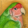 custom oil painting portrait bird lovebird original traditional realistic fine art