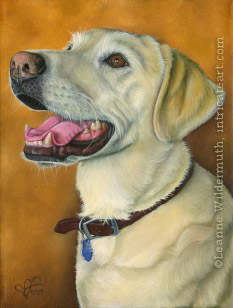 custom oil painting dog portrait yellow lab original traditional realistic fine art