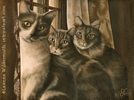 custom oil painting cat portrait monochromatic original traditional realistic fine art