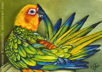 custom sun conure bird portrait oil painting original leanne wildermuth traditional realistic fine art