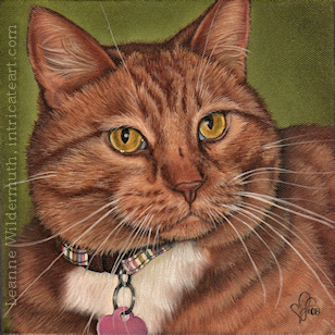 Custom Cat Portrait Kona orange tabby marmalade cat oil painting original traditional realistic fine art