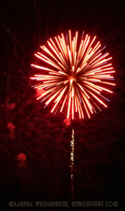 fireworks5.jpg