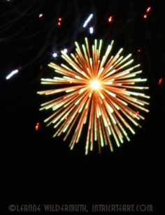 fireworks8.jpg