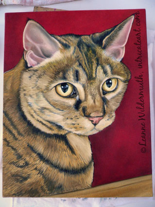 elsie tiger cat memorial pet portrait oil painting original work in progress