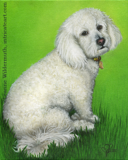 dog portrait completed custom oil painting leanne wildermuth poodle' class=