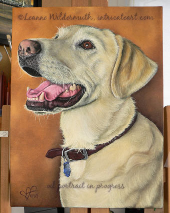 custom yellow lab dog portrait original oil painting work in progress art leanne wildermuth