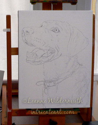 yellow lab dog portrait oil painting sketch work in progress custom art
