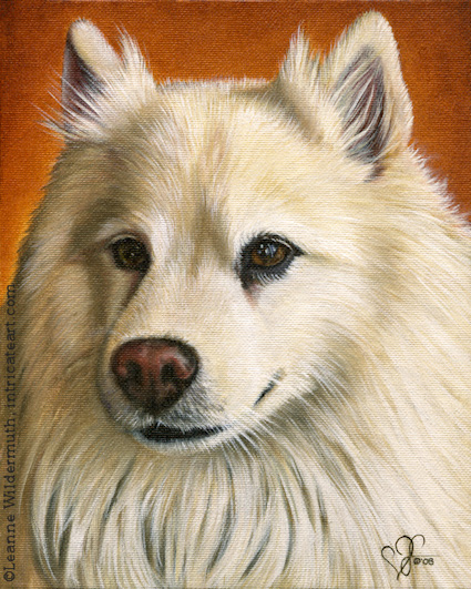 dog portrait completed custom oil painting leanne wildermuth american eskimo' class=