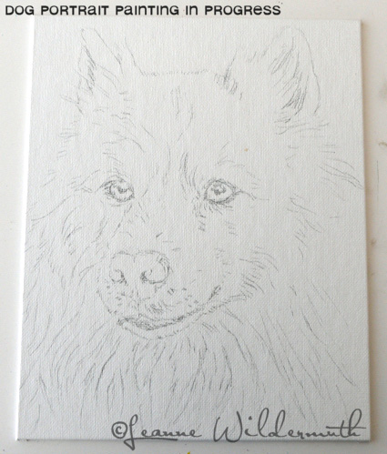 custom dog portrait american eskimo original art painting sketch work in progress' class=