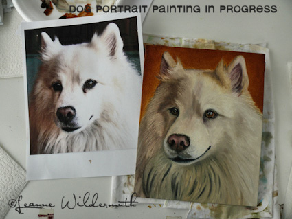 american eskimo custom dog portrait painting oil original work in progress underpainting' class=