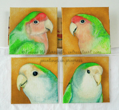 lovebird oil painting  pet bird portrait custom oil fine art