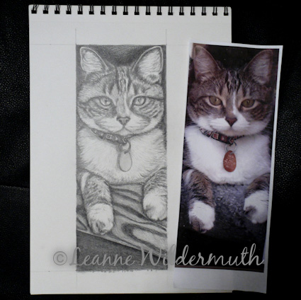 custom cat portrait art pencil graphite drawing