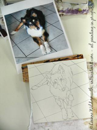 custom dog portrait oil painting progress sketch' class=
