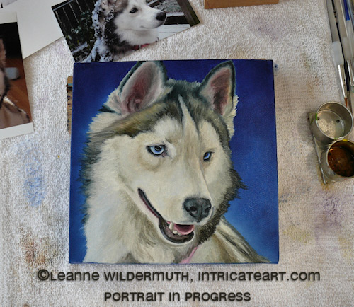 siberian husky custom oil portrait painting original art leanne wildermuth' class=