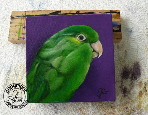 custom bird portrait pacific parrotlet oil painting leanne wildermuth