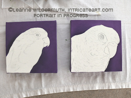 pacific parrotlet conure bird portrait oil paintings custom art leanne wildermuth' class=