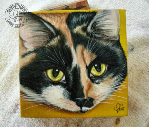 custom cat portrait calico oil painting leanne wildermuth