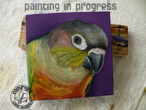 custom bird portrait painting in progress Yellow-Sided Green Cheeked Conure