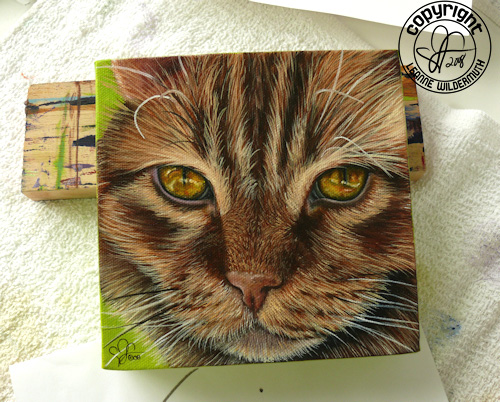 custom cat portrait oil painting original leanne wildermuth