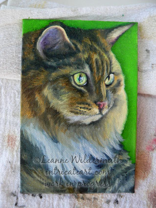 cat portrait painting work in progress