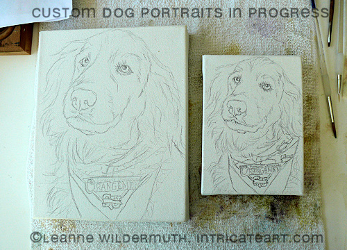 custom dog portrait paintings golden retriever sketches leanne wildermuth